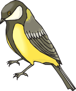 Goldfinch Side View Clip Art
